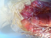 Squishy gelatine leaves